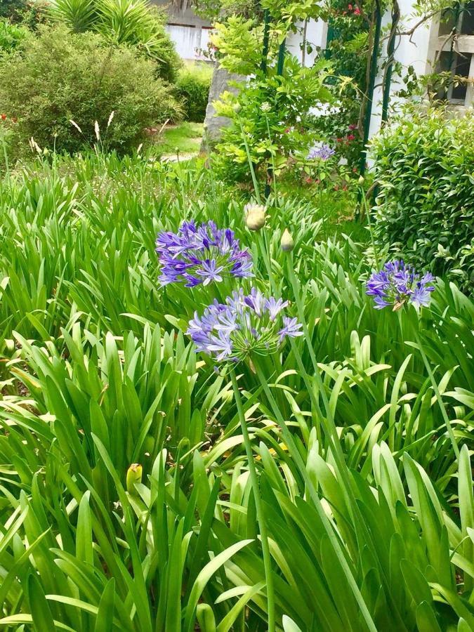 Cascais Seaside Garden Villa エクステリア 写真