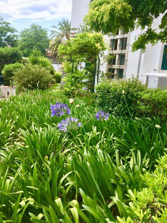 Cascais Seaside Garden Villa エクステリア 写真