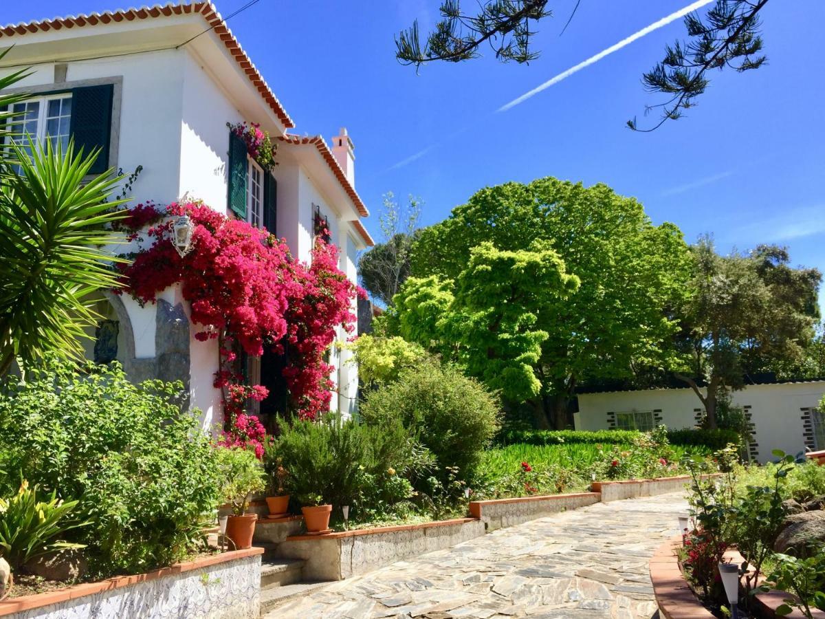 Cascais Seaside Garden Villa エクステリア 写真