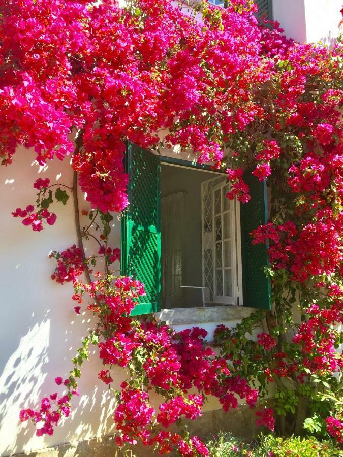 Cascais Seaside Garden Villa エクステリア 写真