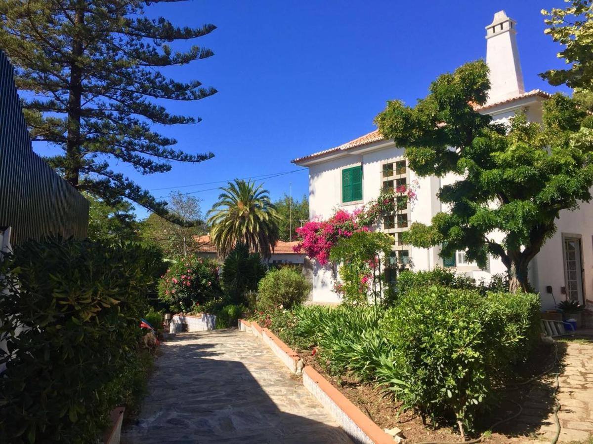 Cascais Seaside Garden Villa エクステリア 写真