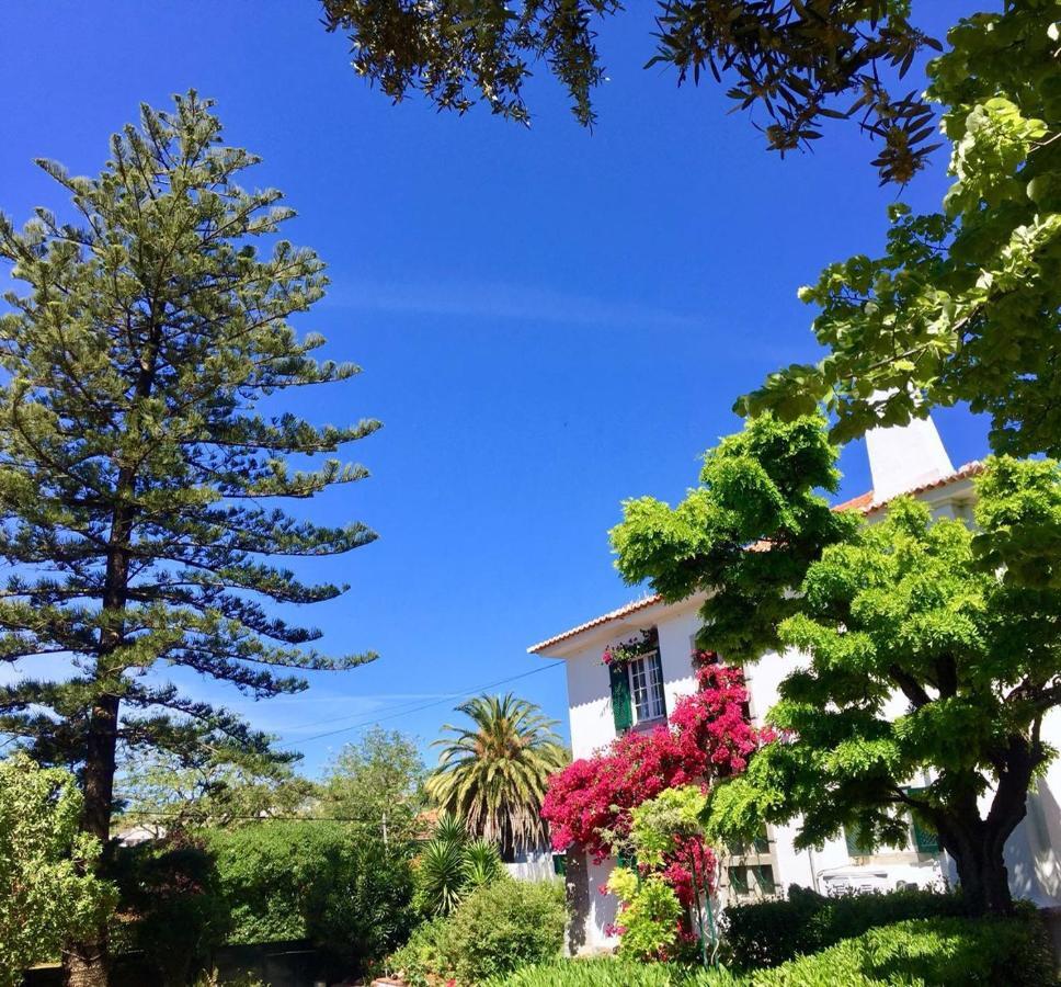 Cascais Seaside Garden Villa エクステリア 写真